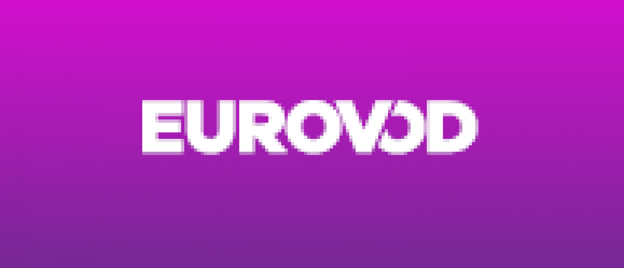 2. Eurovod Meeting